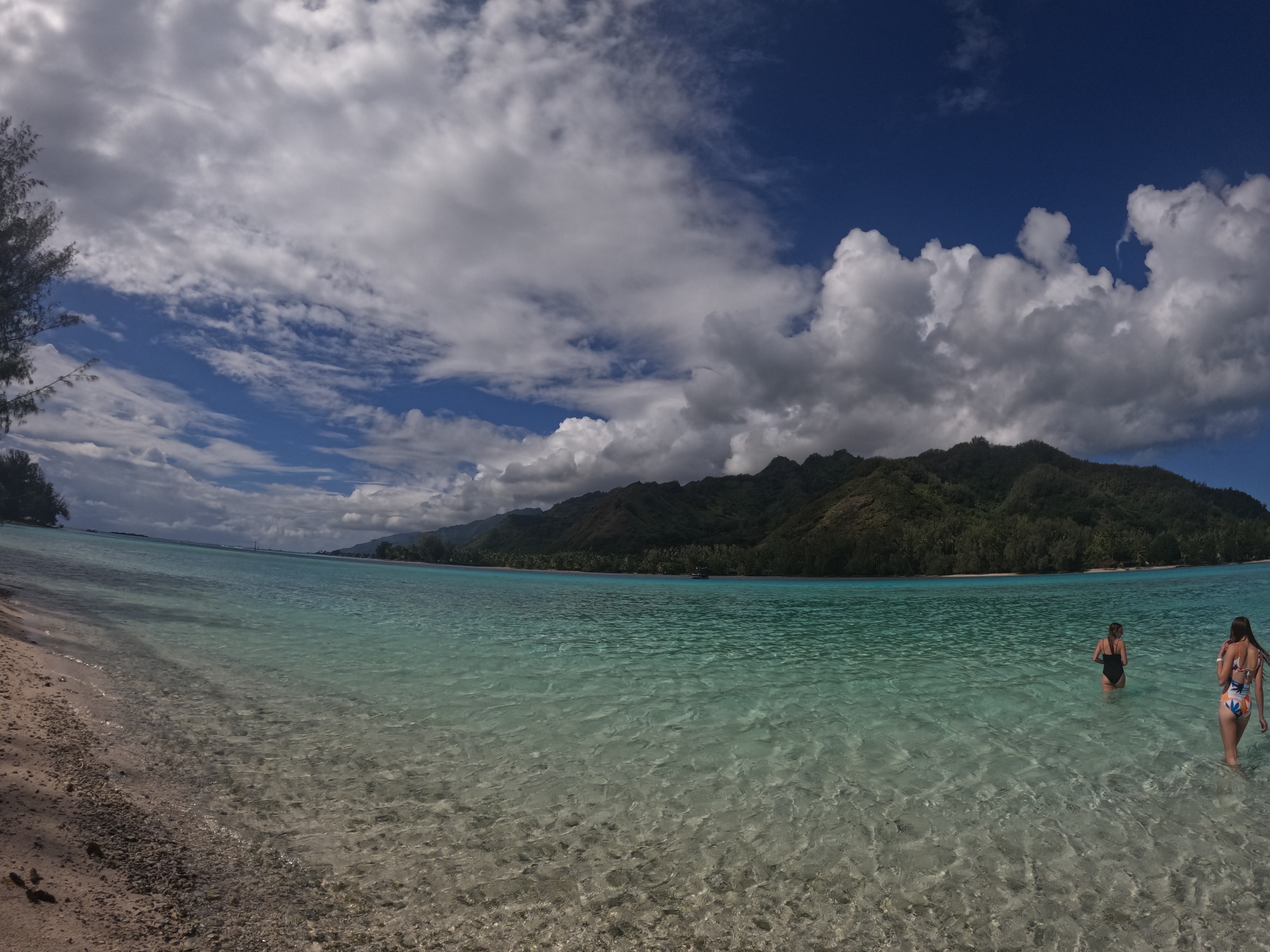 2022 Tahiti Taravao HXP - Day 4 (Kass's Birthday, Swimming with Sharks & Stingrays, Motu Fareone Island, Making Motu Fareone (E'ia Ota), Catching Crabs for 'Alca-Crab', Dance Party on Ferry to Tahiti, Catching Geckos)